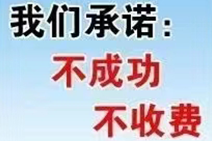 洛扎讨债公司