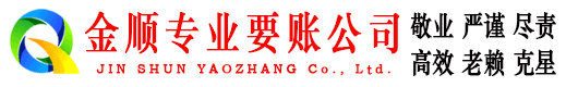 洛扎讨债公司